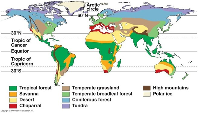 Terrestrial Ecosystems of the World