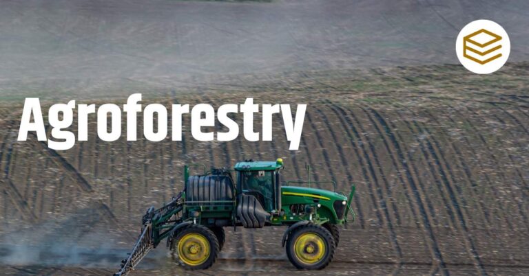 Agroforestry