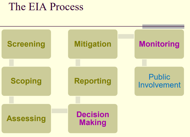 EIA Process