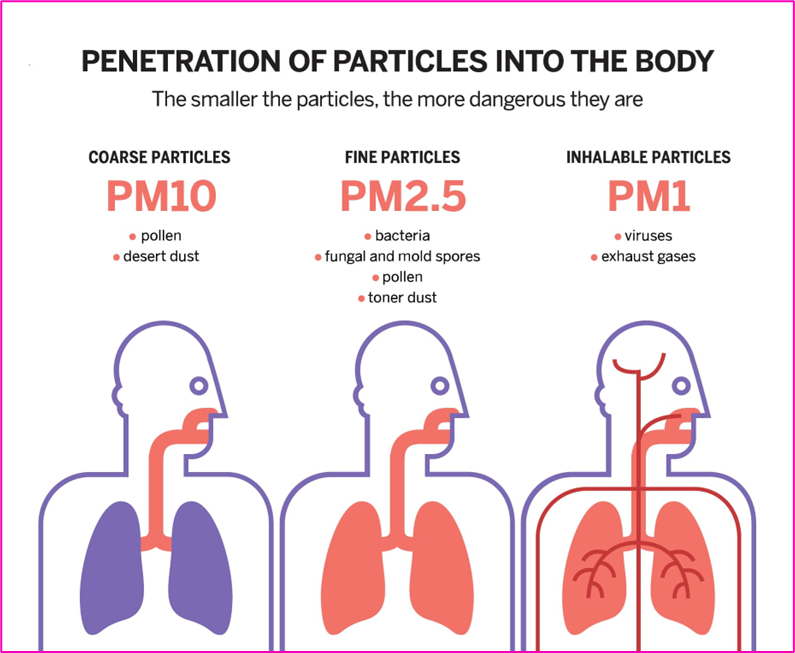 Particulate Matter