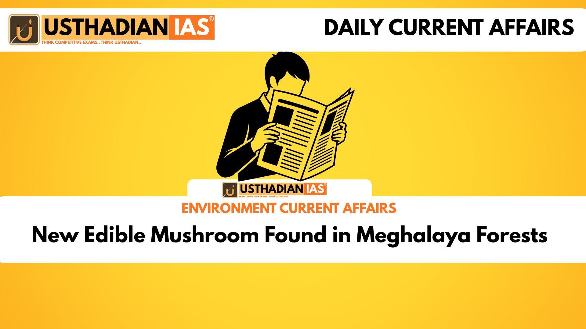 New Edible Mushroom Lactifluus khasianus Described from East Khasi Hills